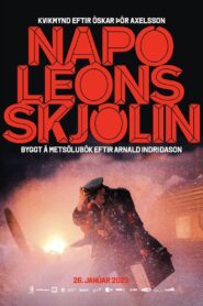 Napóleonsskjölin